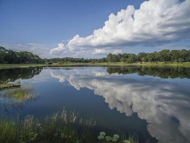 Lake Iamonia