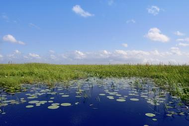 Lake Istokpoga