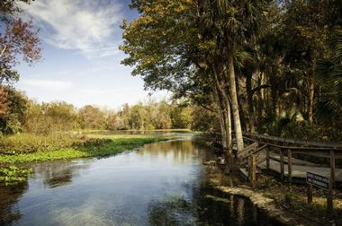 Wekiwa Springs State Park