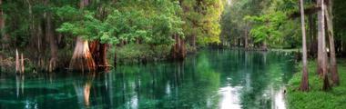 Ichetucknee Springs State Park