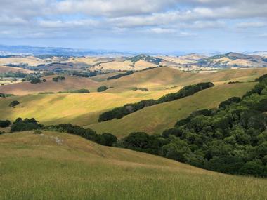 Sonoma