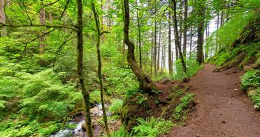 15 Best Hikes in Oregon