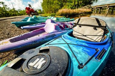 Wild Louisiana Kayak Swamp Tours, New Orleans, Louisiana