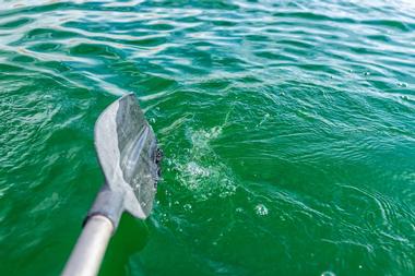 Makena Kayak and Tours,  Maui, Hawaii