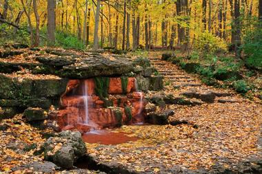 Yellow Springs