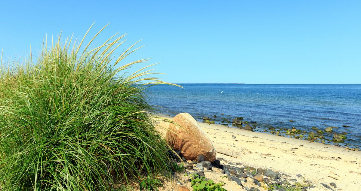 11 Best Long Island Beaches