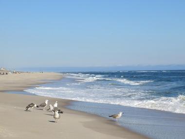 Cooper's Beach, Long Island