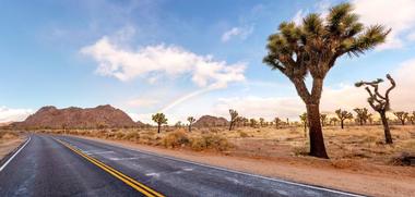 Joshua Tree National Park