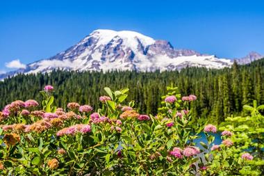 Mount Rainier National Park