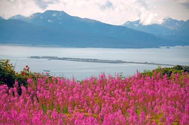 The Homer Spit