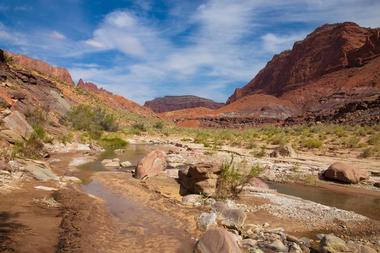 Paria Canyon-Vermilion Cliffs Wilderness