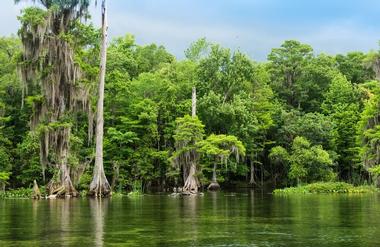 Wakulla, Florida