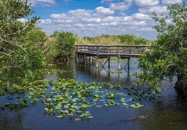 Everglades National Park, Florida