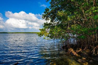 Biscayne National Park