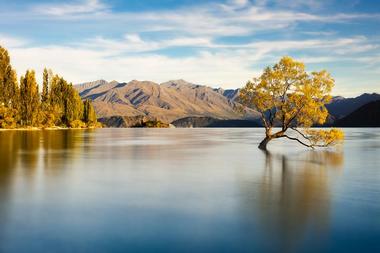 Wanaka