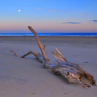 Wells Beach