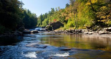 Swallow Falls State Park