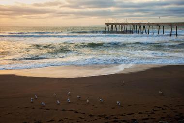 Pacifica