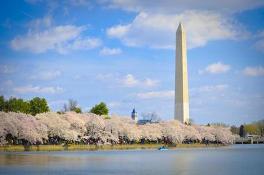 Discover Washington, D.C.