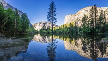 Take photos in Yosemite National Park