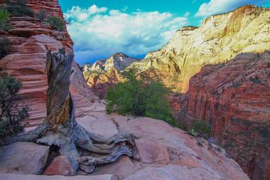 Go biking in Zion National Park