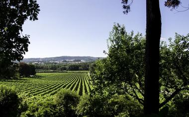 Vinho Verde Province