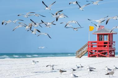 Siesta Key, Florida