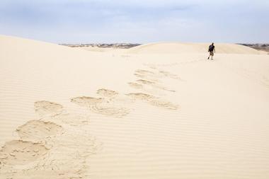 Monahans Sandhills State Park