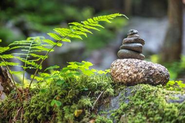 Southern Dharma Retreat Center - NC