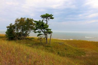 Kohler-Andrae State Park