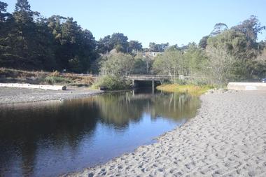 Van Damme State Park