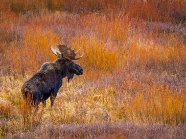 State Forest State Park, Colorado