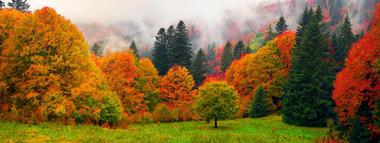 Vista at Buckberry Creek