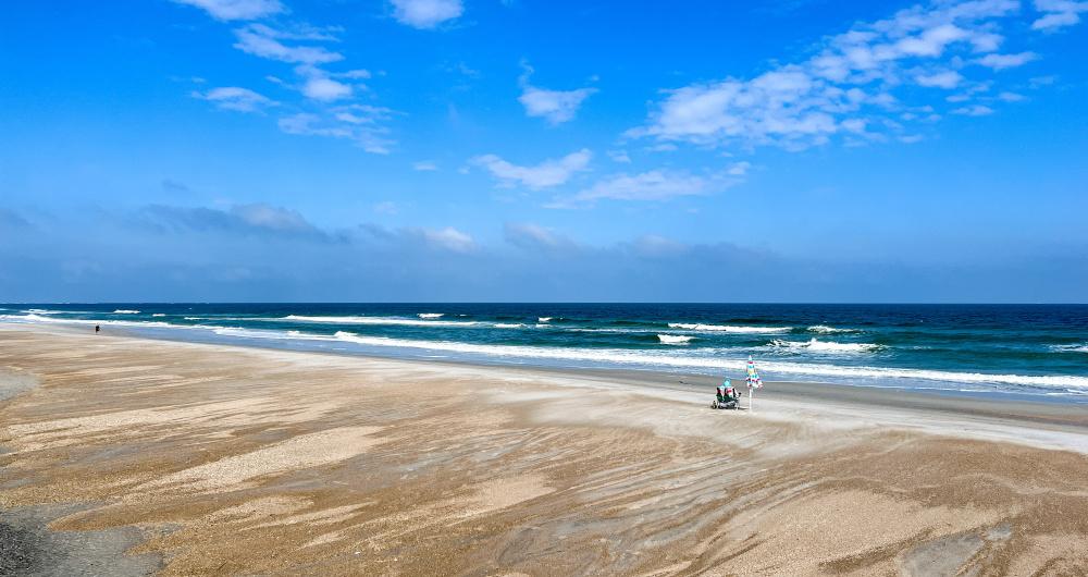 25 Best Things to Do in Amelia Island, FL