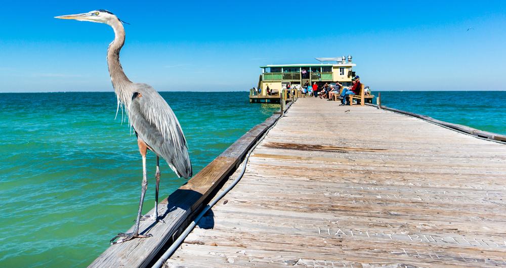 14 Best Things to Do in Anna Maria, FL