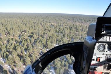 Papillon Grand Canyon Helicopters