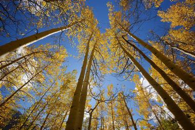 Rio Grande Trail