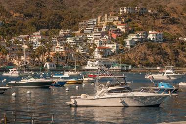 Catalina Coastal Tours and Fishing