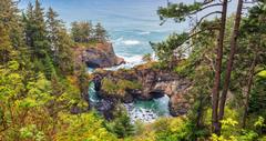 8 Best Things to Do in Brookings, OR