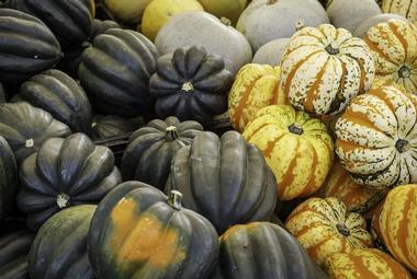 Carlsbad Village Farmers' Market