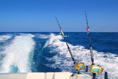 Book a trip with Fin and Fly Fishing Charters