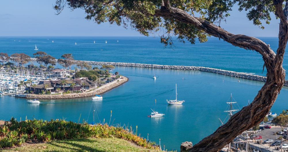 23 Best Things to Do in Dana Point, CA