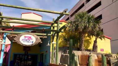 Go on a thrilling speed slide at Daytona Lagoon