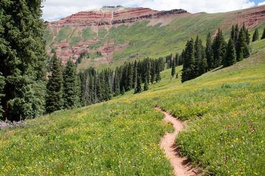 The Colorado Trail