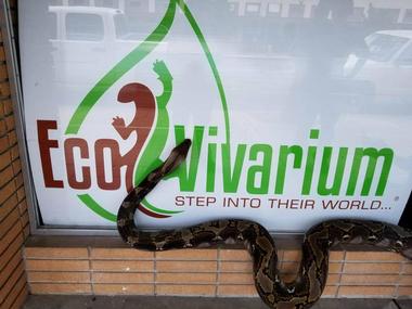 EcoVivarium