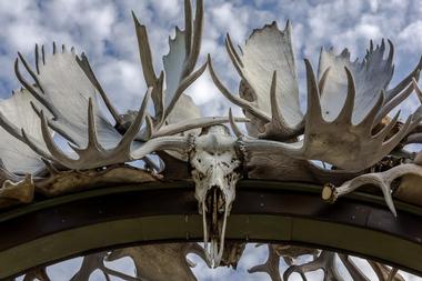 Antler Arch