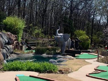 Gator Golf at Fayetteville