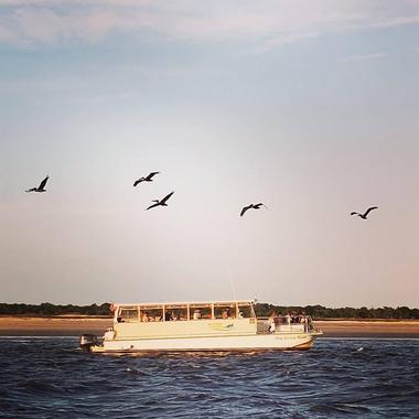 Go on an excursion with Amelia River Cruises and Charters