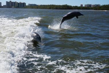 Good Time Charters