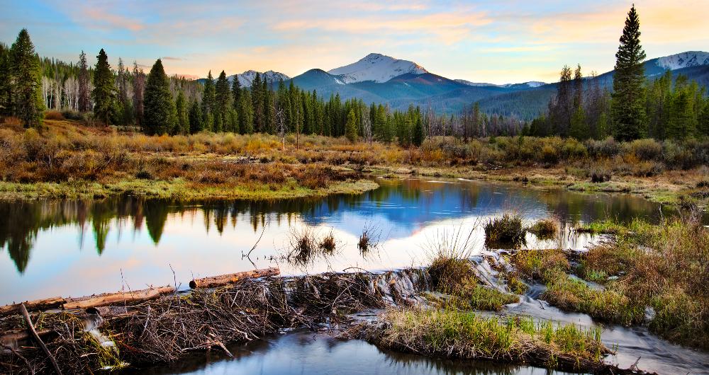 15 Best Things to Do in Fraser, CO